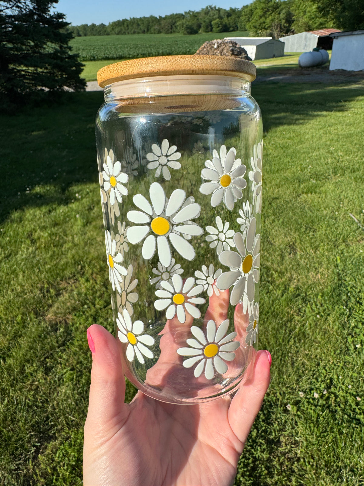 White Daisy’s Cup