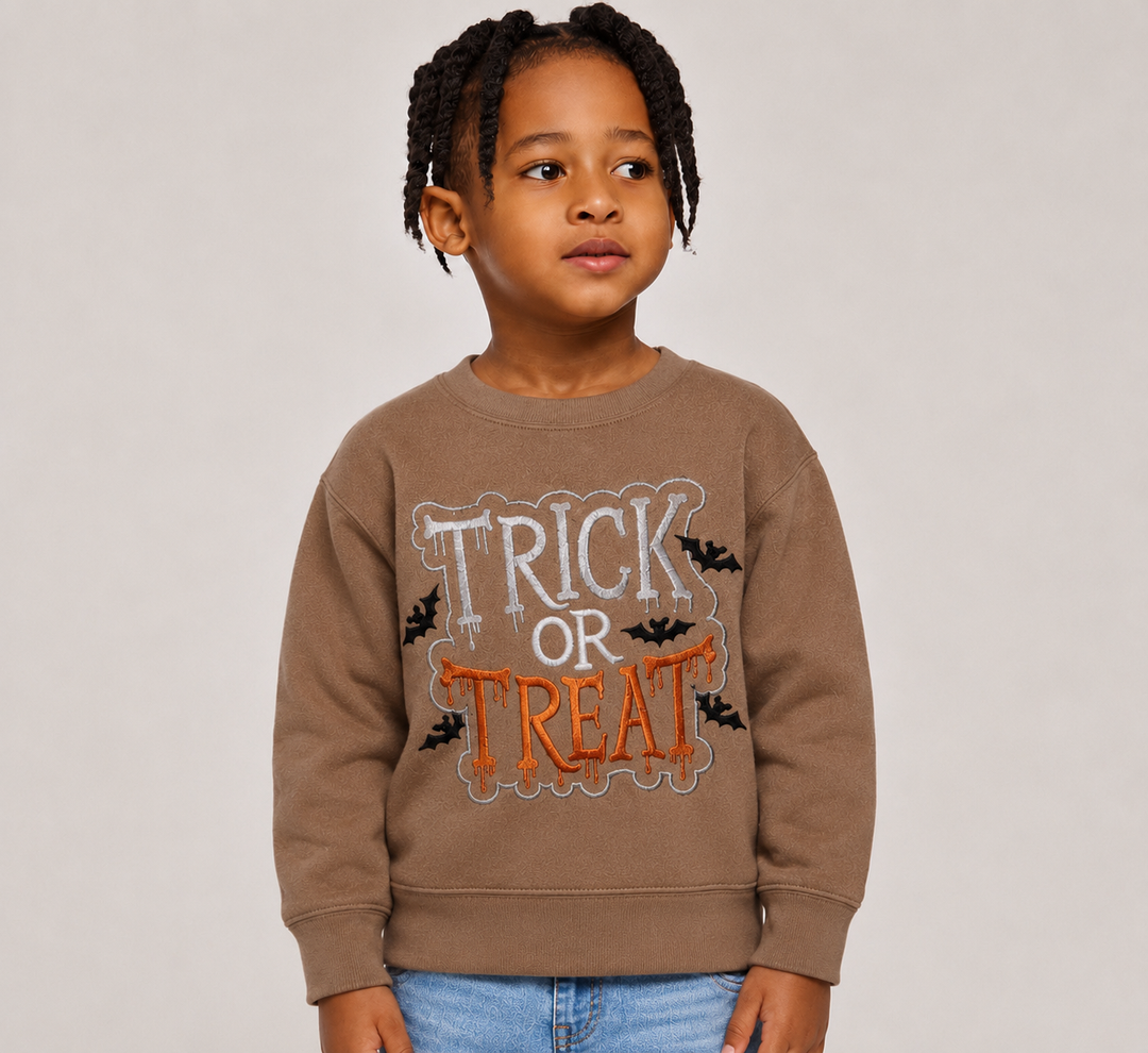 Trick or Treat Embroidered Sweater (Boy)