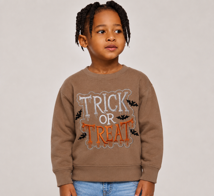 Trick or Treat Embroidered Sweater (Boy)